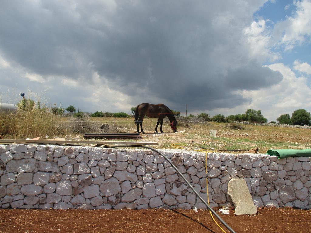 Le Mangiatoie Del Re Giordano Villa Avola Bagian luar foto